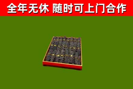 巴音郭楞州回收海参